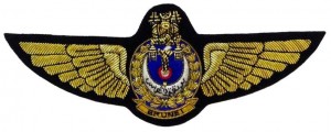 Нагрудный знак Летчик  