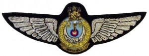 Нагрудный знак Летчик  