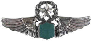 Нагрудный знак Мастер Пилот  