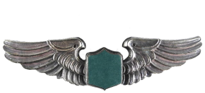 Нагрудный знак Пилот  