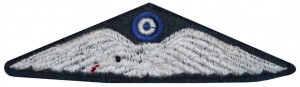 Badge Pilot 