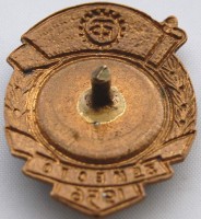 Badge  