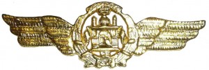Badge Pilot 