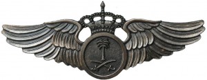 Нагрудный знак Пилот 