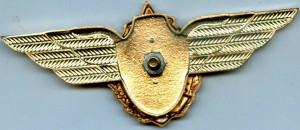 Badge  