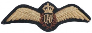 Badge Pilot 
