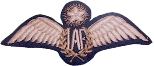 Badge Pilot 