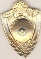 Нагрудный знак Мастер для рядового и сержантского состава 