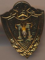 Нагрудный знак Мастер для рядового и сержантского состава 