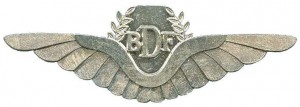 Нагрудный знак Пилот 