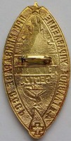 Нагрудный знак Лучшая медицинская сестра 