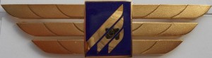 Нагрудный знак Malev 