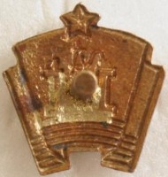 Нагрудный знак ДСО 