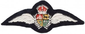 Нагрудный знак Летчик  