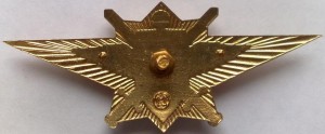 Нагрудный знак Офицер, специалист ВС РФ 1 класса 