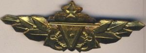 Нагрудный знак Специалист 3 класса дунайской флотилии 