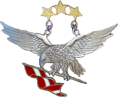 Нагрудный знак Летчик  