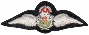 Badge Pilot 
