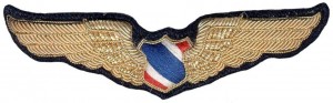 Badge Pilot 