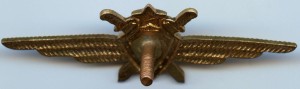 Нагрудный знак Летчик 3 класса 