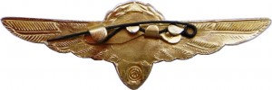 Badge Navigator 2nd class 