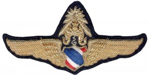 Нагрудный знак Мастер пилот  