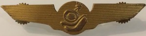 Нагрудный знак Пилот VIVA AIR 