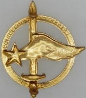 Нагрудный знак Парашютисты 