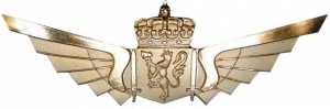 Нагрудный знак Летчик  