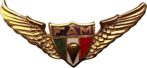 Нагрудный знак Парашютист  