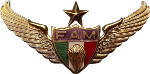 Нагрудный знак Старший парашютист  