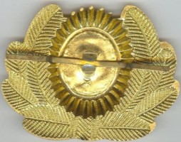 Нагрудный знак Кокарда Туркменские авиалинии 