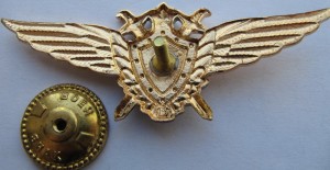 Badge Pilot 2nd class 