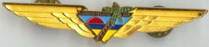 Нагрудный знак Bimini Island Air US Defunct Airlines 