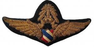 Badge Master pilot 
