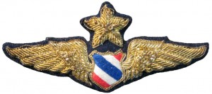 Badge Senior pilot 