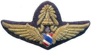 Нагрудный знак Мастер пилот  