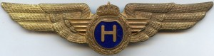 Нагрудный знак Пилот 