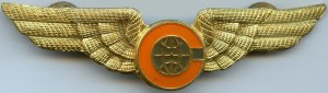 Нагрудный знак Пилот Cach 