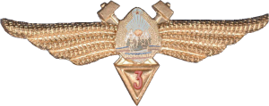 Badge Technician 3rd class 