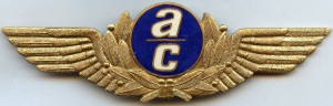 Нагрудный знак Пилот 