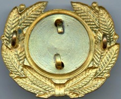 Нагрудный знак Кокарда SAS 