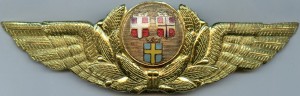 Нагрудный знак Пилот SAS 