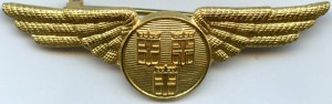 Нагрудный знак Пилот SAS 