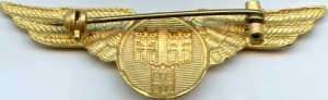 Нагрудный знак Пилот SAS 