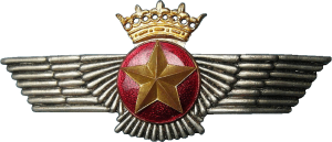 Нагрудный знак Штурман  