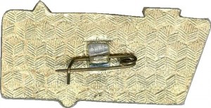 Нагрудный знак Ветеран 37-й гв. стрелковой дивизии 