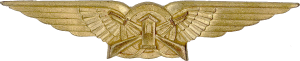 Badge Airfield guard 