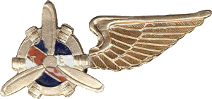 Badge Technician, gold 