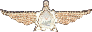 Badge Engineer 